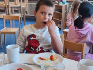 20240919 SON Sms GSE Probe (3).jpeg